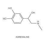 adrenaline