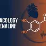 pharmacology of adrenaline