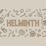 helminth: albendazole