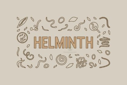 helminth: albendazole