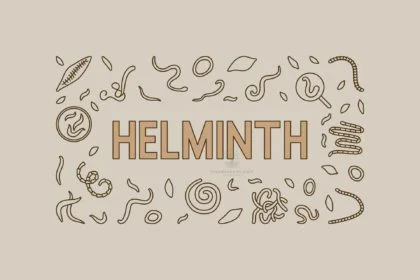 helminth: albendazole