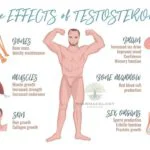 Testosterone