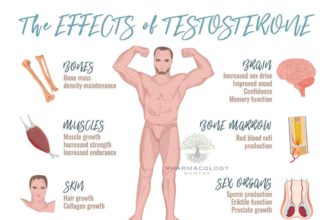 Testosterone