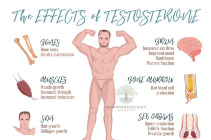Testosterone