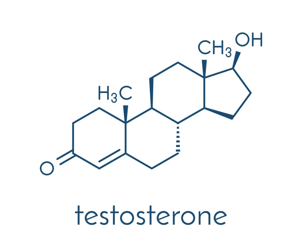 testosterone structure