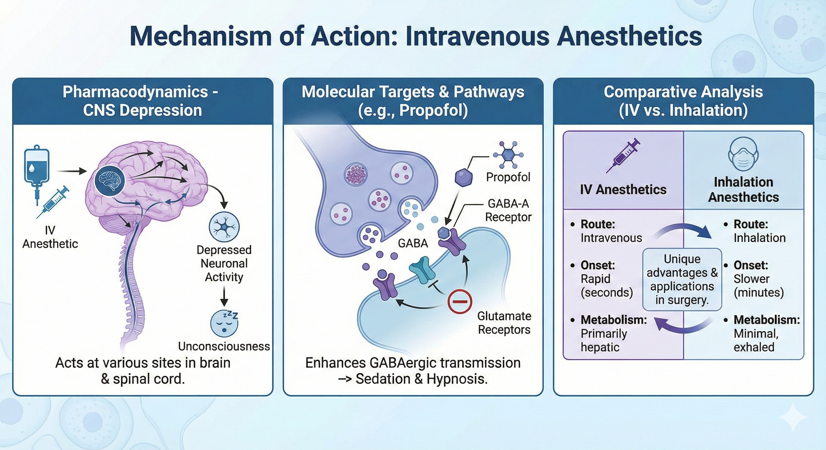 Intravenous Anesthetics-mechanism of action