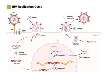 Antiretroviral drugs