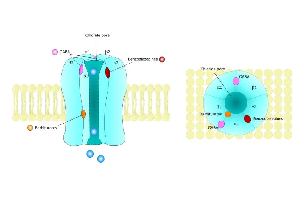 anxiolytics - benzodiazepines MOA
