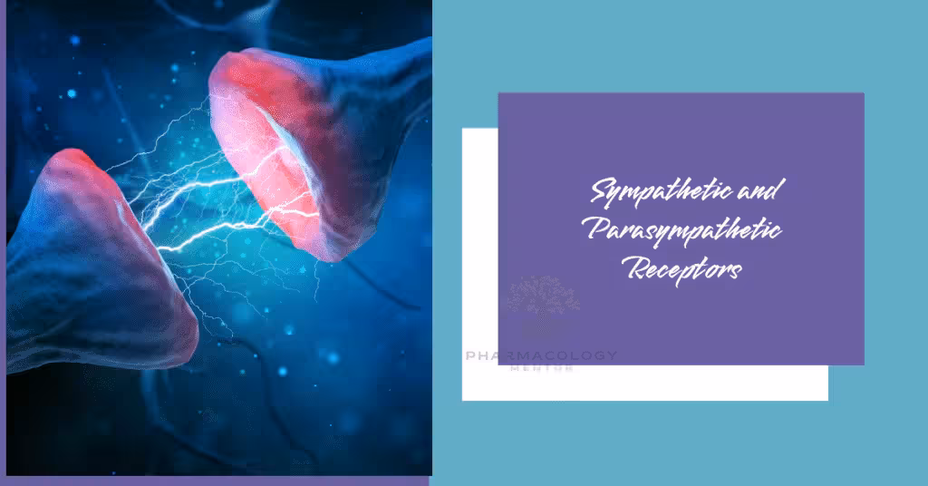 Sympathetic and Parasympathetic Receptors