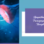 Sympathetic and Parasympathetic Receptors