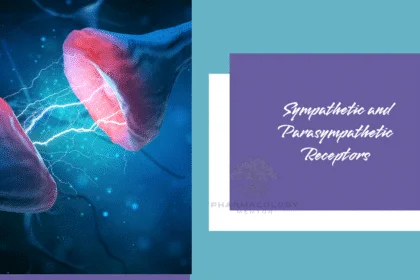 Sympathetic and Parasympathetic Receptors