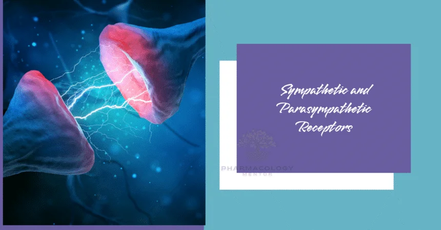 Sympathetic and Parasympathetic Receptors