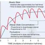 Steady-state concentration