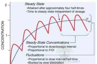 Steady-state concentration