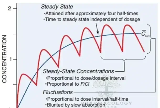 Steady-state concentration