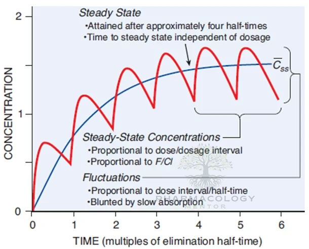 Steady-state concentration