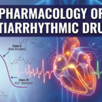 pharmacology of antiarrhythmic drugs