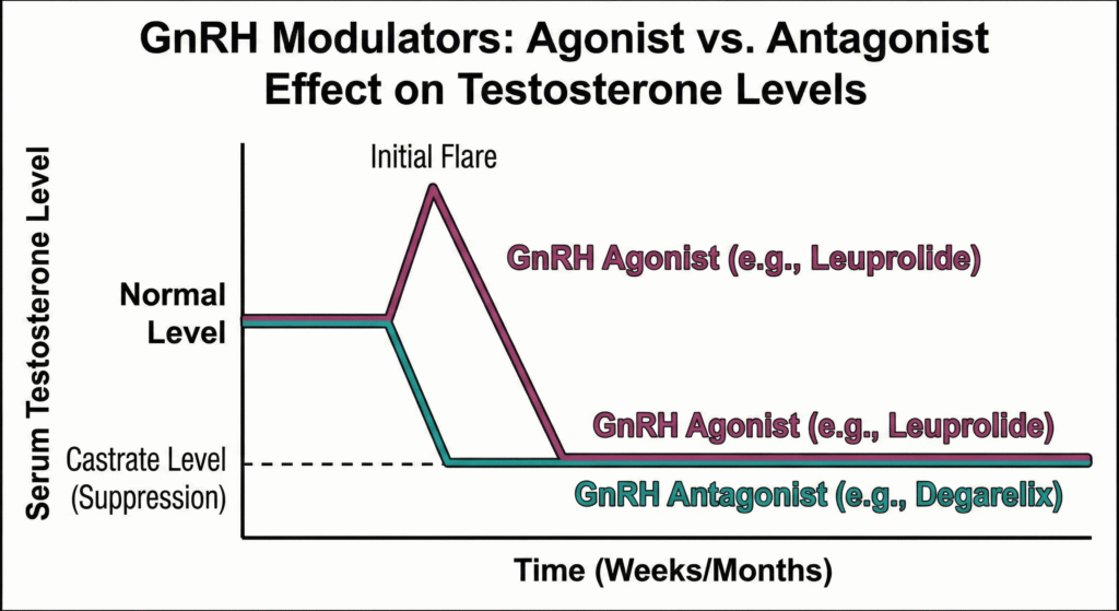 GnRH Modulators