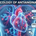 pharmacology of antianginal drugs